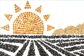 Продажи семечек в розничных сетях Украины